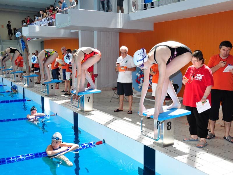 Départ d'une course de natation avec membre du CNJ